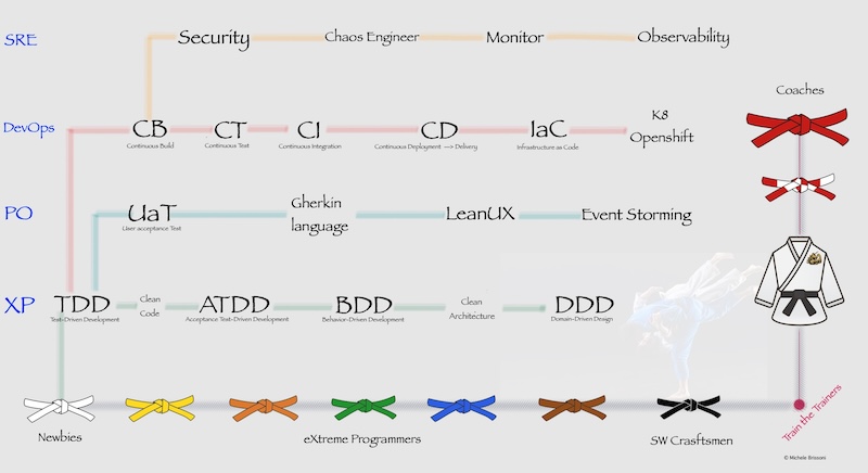 Belts Model